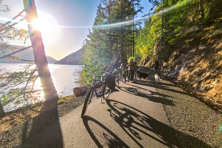 Electric Bike Rentals - thumb 5