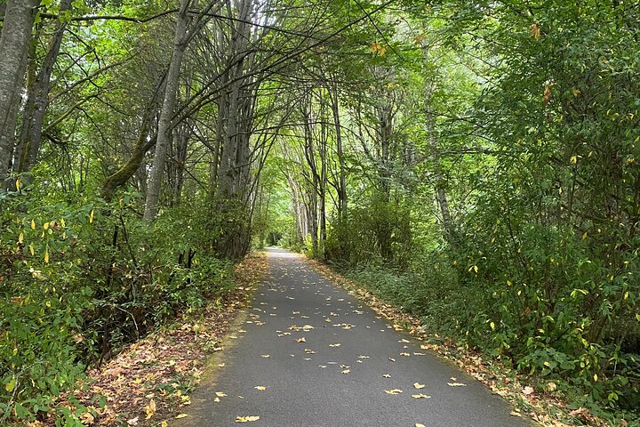Electric Bike Ride On The Olympic Discovery Trail - thumb 2