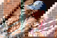 Albany Vt Tourism Bookings