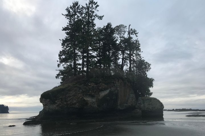 Olympic National Park Tour From Seattle - thumb 0