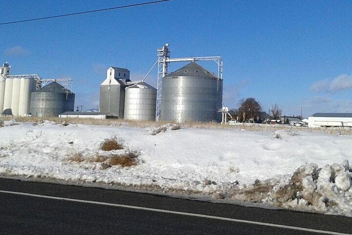 WASHINGTON ST AGRICULTURE, Apples & Irrigation - thumb 3