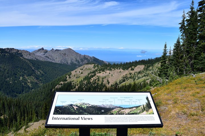 Hurricane Ridge Guided Tour In Olympic National Park - thumb 0