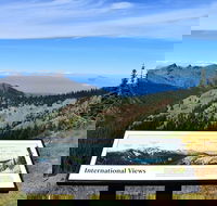 Hurricane Ridge Guided Tour in Olympic National Park - Students Accommodation