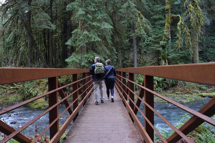 Lake Crescent And Marymere Falls Guided Tour In Olympic National Park - thumb 3