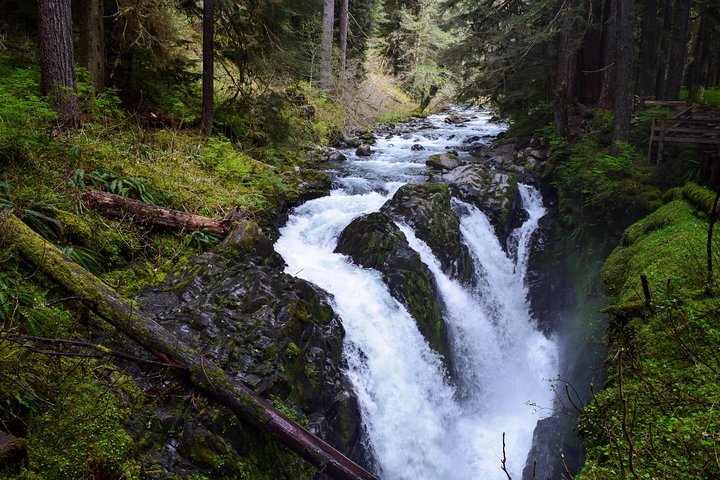 Sol Duc Falls Guided Tour In Olympic National Park - thumb 0