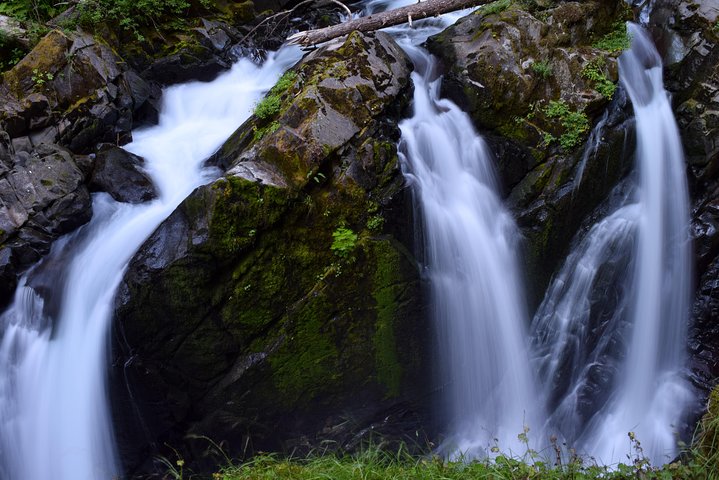 Sol Duc Falls Guided Tour In Olympic National Park - thumb 3