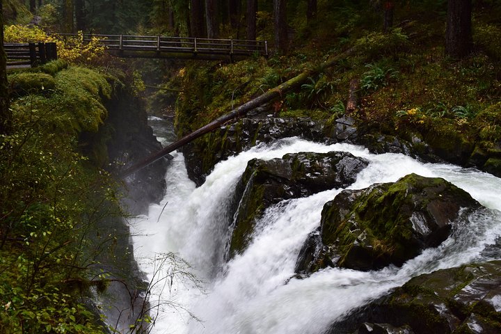 Sol Duc Falls Guided Tour In Olympic National Park - thumb 4