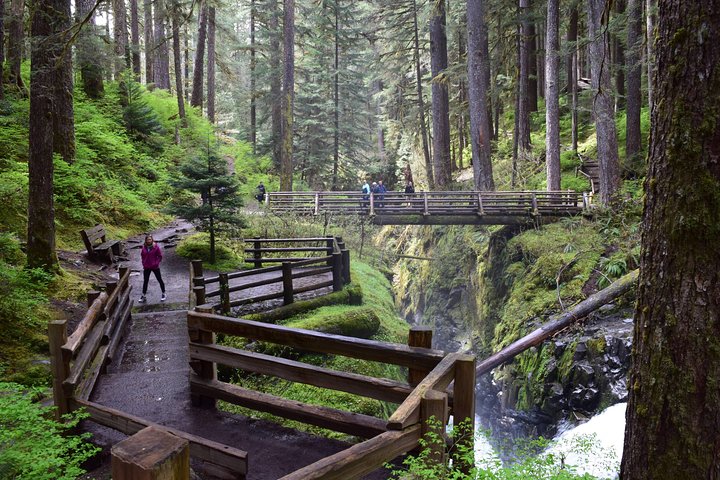 Sol Duc Falls Guided Tour In Olympic National Park - thumb 5