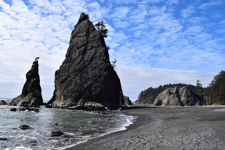 Hoh Rain Forest And Rialto Beach Guided Tour In Olympic National Park - thumb 0