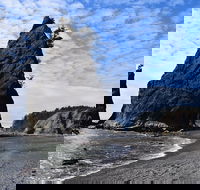 Hoh Rain Forest and Rialto Beach Guided Tour in Olympic National Park - Students Accommodation