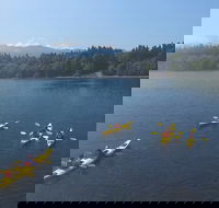 Half-Day Sea Kayaking Trip Near Olympic National Park - Students Accommodation