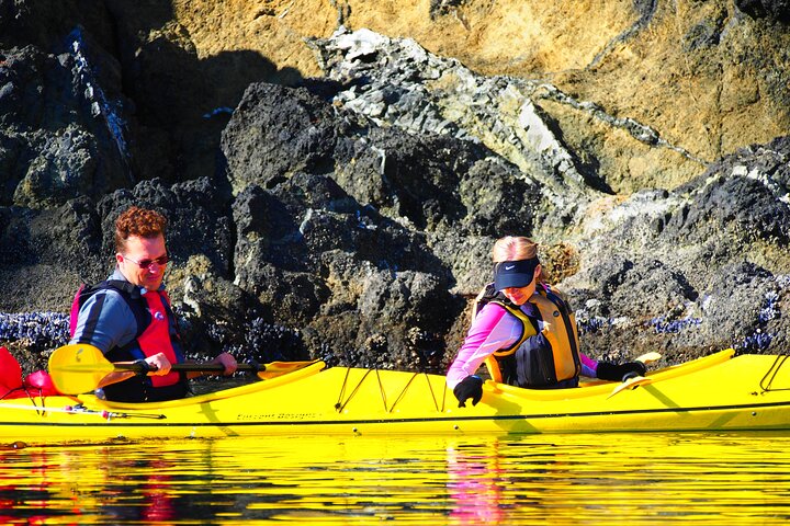Half-Day Sea Kayaking Trip Near Olympic National Park - thumb 2