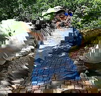 Adventurous Scavenger Hunt in Madison by Zombie Scavengers - Students Accommodation