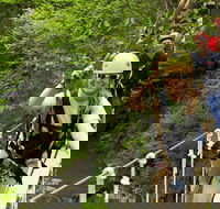 New River Gorge Zip Line Canopy Tour - Students Accommodation