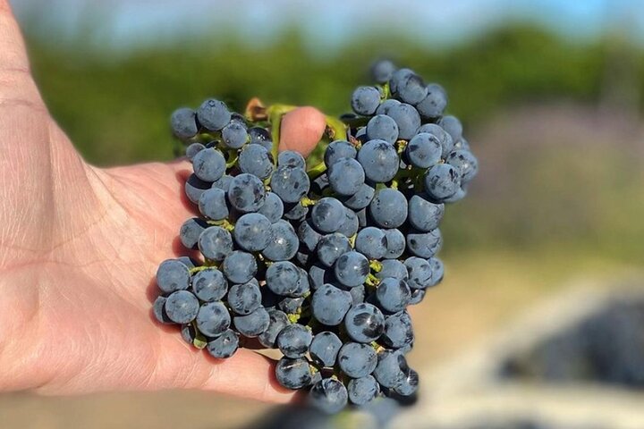 Woodinville Warehouse Wine Pass - thumb 1