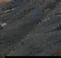 PET FRIENDLY PRIVATE Tour to Yellowstone National park - Students Accommodation