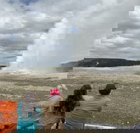 Yellowstone Open Air Tours by Cody Wyoming Adventures - Students Accommodation