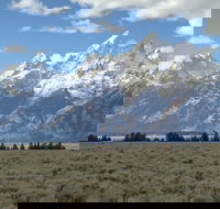 Grand Loop Yellowstone Wildlife and Photo Tour - Students Accommodation