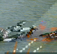 Red Canyon River Trips 9am. - Students Accommodation