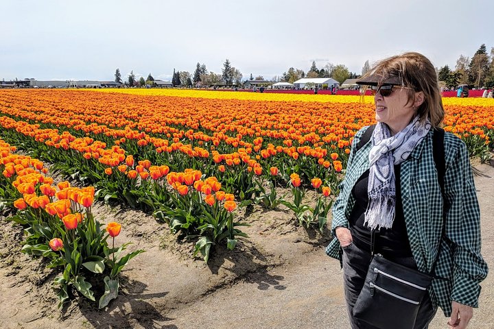 Skagit Valley Tulip Festival And Deception Pass - Private Luxury Day Tour - thumb 2