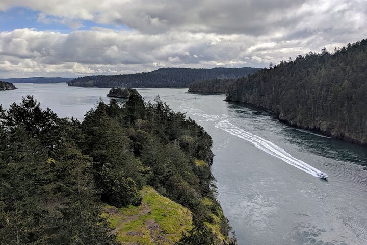 Skagit Valley Tulip Festival And Deception Pass - Private Luxury Day Tour - thumb 3