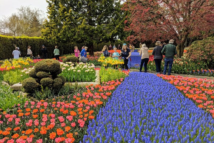 Skagit Valley Tulip Festival And Deception Pass - Private Luxury Day Tour - thumb 5