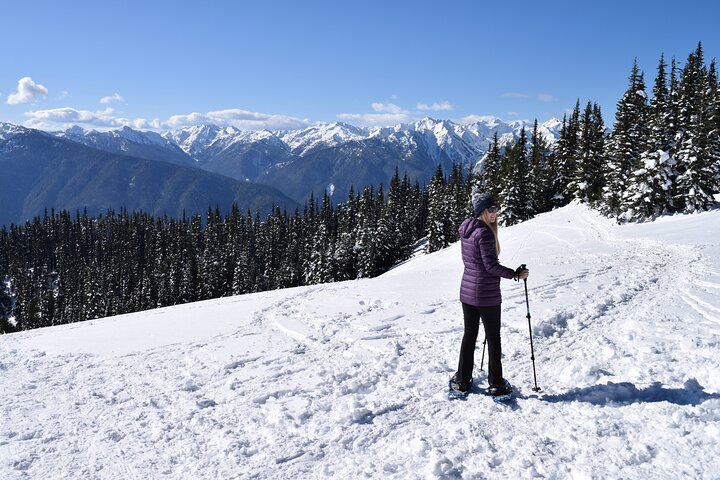 Hurricane Ridge Guided Snowshoe Tour In Olympic National Park - thumb 0