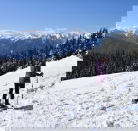 Hurricane Ridge Guided Snowshoe Tour in Olympic National Park - Students Accommodation