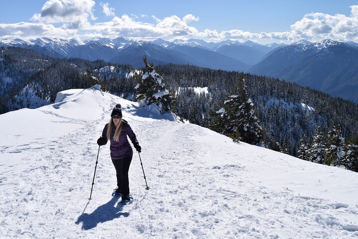 Hurricane Ridge Guided Snowshoe Tour In Olympic National Park - thumb 3