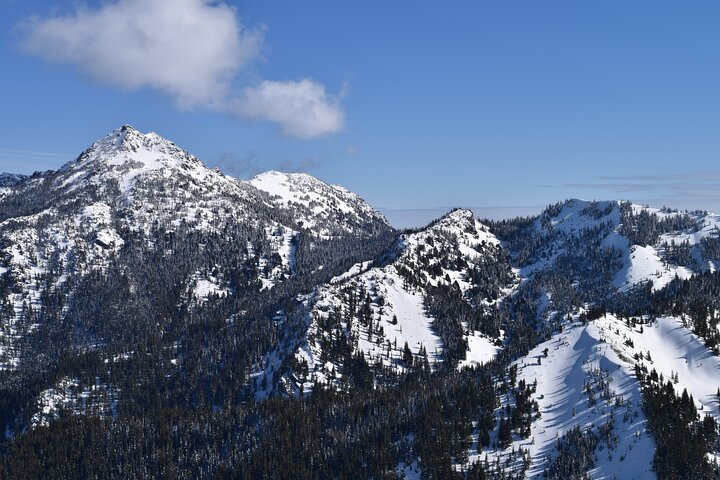 Hurricane Ridge Guided Snowshoe Tour In Olympic National Park - thumb 5