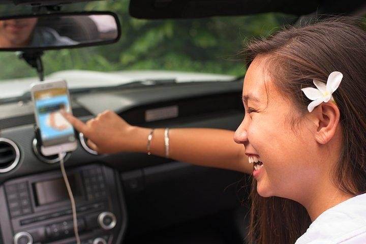 Waimea Canyon & Na Pali Driving Tour App - thumb 1