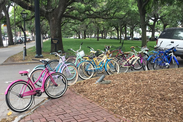 2-Hour Savannah Bike Tour - thumb 3
