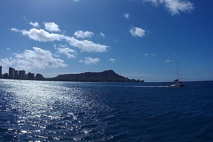 9am Turtle Canyon Snorkel Adventure - thumb 4