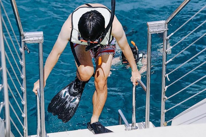 9am Turtle Canyon Snorkel Adventure - thumb 5