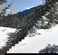 Classic Crags Hike near Pikes Peak - Tourism Bookings