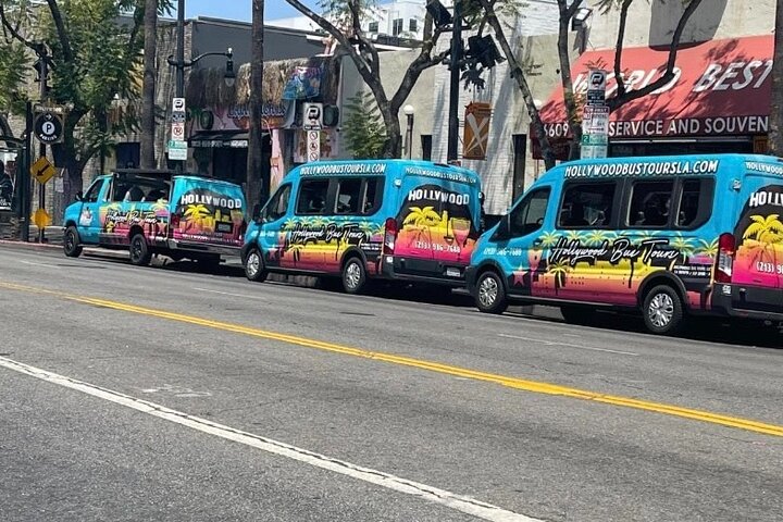 Celebrity Homes + The Real Hollywood Experience - Small Group Open Air Bus - thumb 3