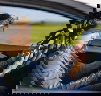 Historical Baltimore Self-Driving Sightseeing Audio Tour - Students Accommodation