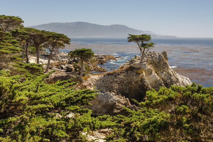 Monterey, Carmel And 17-Mile Drive - Full Day Tour From San Francisco - thumb 2