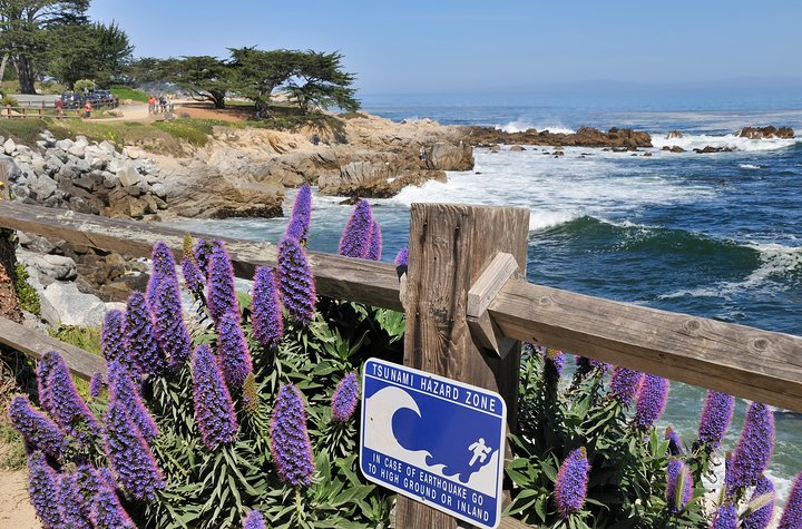 Monterey, Carmel And 17-Mile Drive - Full Day Tour From San Francisco - thumb 4