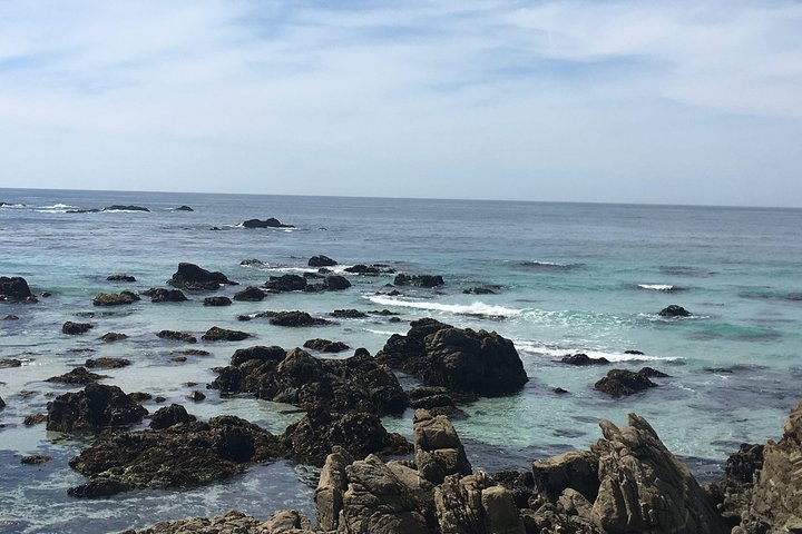 Monterey, Carmel And 17-Mile Drive - Full Day Tour From San Francisco - thumb 5