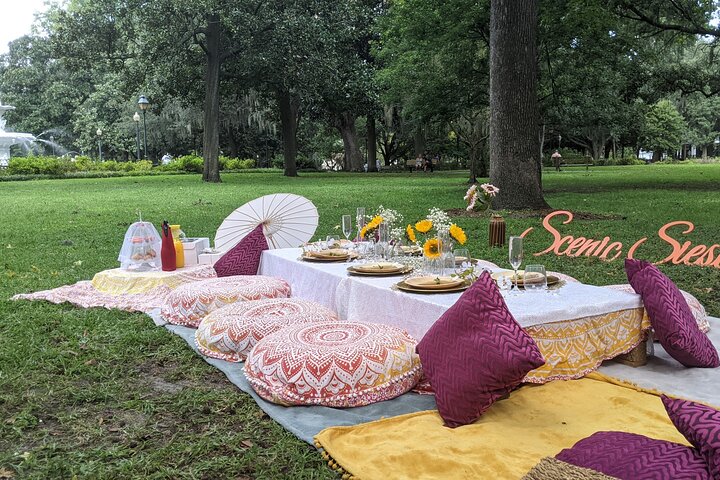 Private Scenic Siesta: Picnic Experience In Savannah - thumb 2
