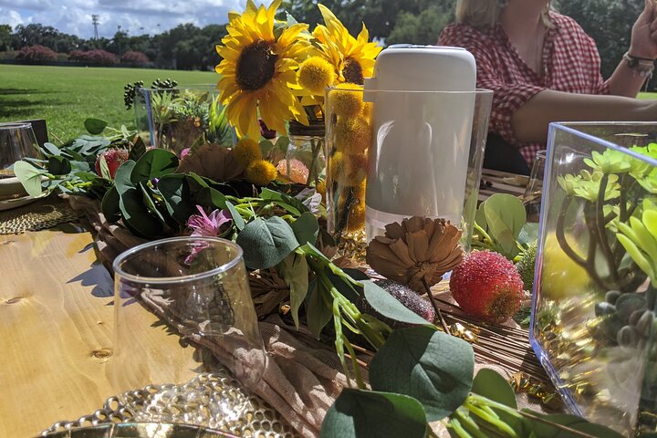 Private Scenic Siesta: Picnic Experience In Savannah - thumb 3