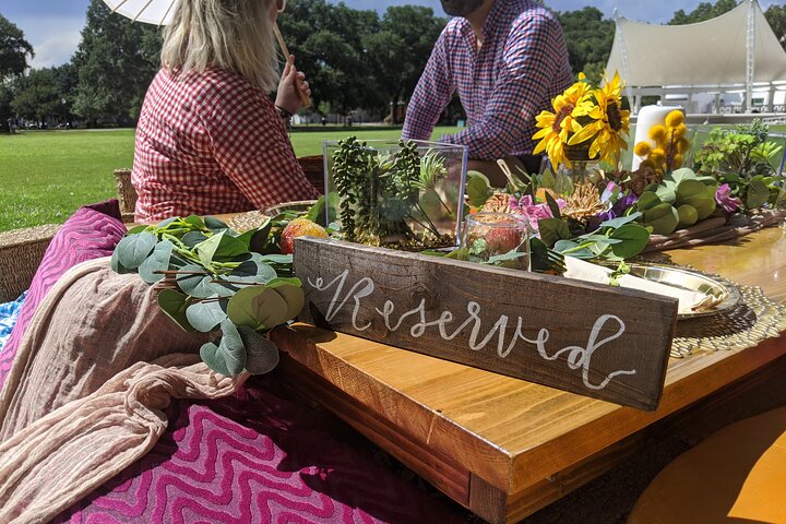 Private Scenic Siesta: Picnic Experience In Savannah - thumb 5
