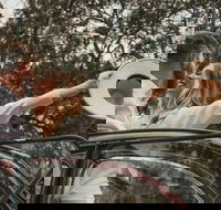 Private Historic Savannah Tour in a Vintage Citron - Students Accommodation