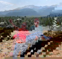 Half-Day Pikes Peak Jeep Tour - Tourism Bookings