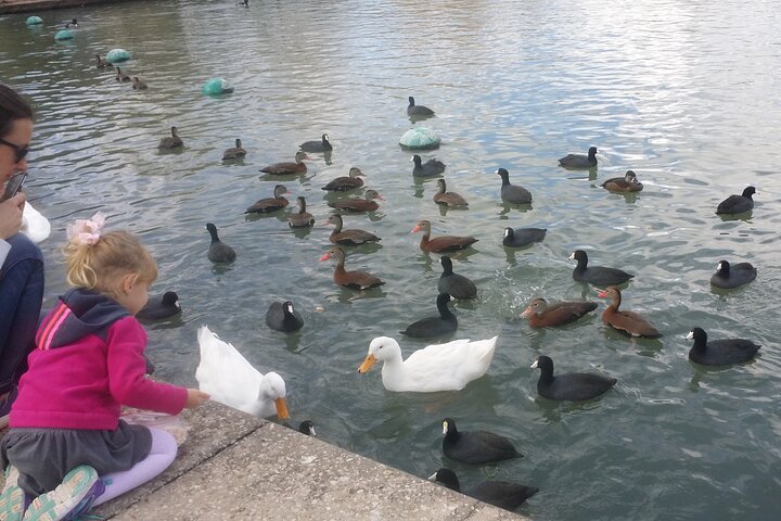 Private Sightseeing Family Tour 2.5 Hours - thumb 3