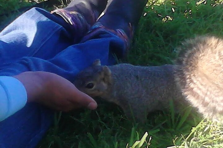 Private Sightseeing Family Tour 2.5 Hours - thumb 4