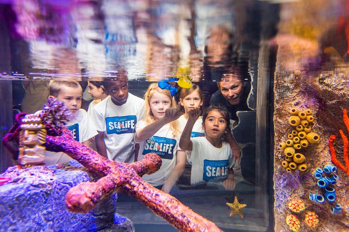 Go City: Orlando All-Inclusive Pass With Kennedy Space Center And LEGOLAND - thumb 5