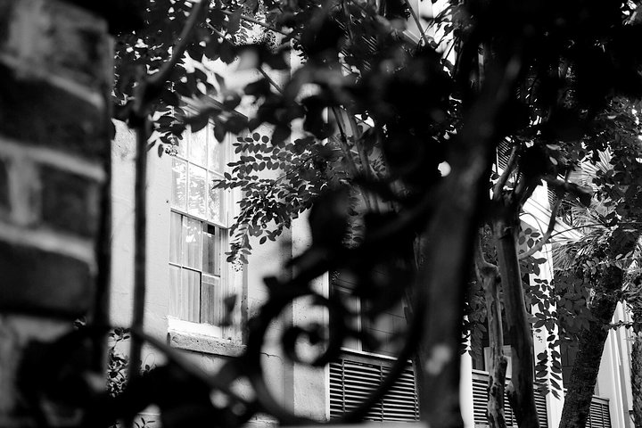 Genteel And Bard's Savannah Dark History And Ghost Walking Tour - thumb 0
