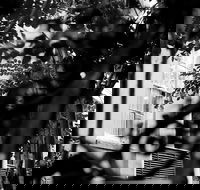 Genteel and Bard's Savannah Dark History and Ghost Walking Tour - Students Accommodation